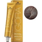 CetKing Igora Royal Absolutes Saç Boyası 60ML-NO - 8.140