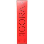 CetKing Igora Royal Saç Boyası 60ML-NO - 6.1 Küllü Koyu Kumral