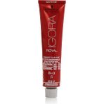 CetKing Igora Royal Saç Boyası 60ML-NO - 8.0 Açık Kumral