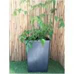 CetKing Kare Saksı 15 Adet 15 Lt 23,5X33 cm Üretim Saksısı Siyah Saksı Kare Üretim Saksı Plastik Saksı