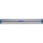 CetKing Ofis ve Kırtasiye 120130 Çift Desimetre Cetvel, 30 cm