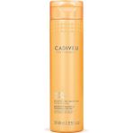 CetKing Professıonal Nutri Glow Sülfatsız Şampuan, 250ML