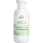 CetKing Professionals Elements Renewing Shampoo Şampuan 250 ml