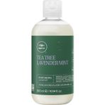CetKing Tree Paul Mitchell Lavender Mınt Moısturızıng Şampuan 300 ml
