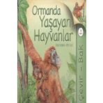 Çevir Bak Ormanda Yaşayan Hayvanlar - Jinny Johnson