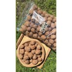 Ceviz (Kabuklu) 1 kg - 1 Adet