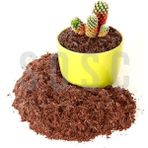 Cevizi TORFU%100 Doğal Torf - Cocopeat Hindistan Cevizi Lifi - Doğal Bitki Toprağı 10 Lt