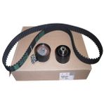 Cey PEUGEOT 206 Triger Seti 2002 - 2009 [ORJINAL] (0831V0)