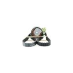 Cey PEUGEOT 207 Triger Seti 2006 - 2010 [ORJINAL] (0831S0)