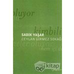 CEYLAN GIRMEZ SOKAĞI - SADIK YAŞAR