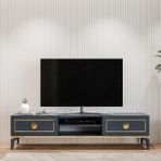 Ceylin Antrasit Modern Lüx Tv Ünitesi, 2 Kapaklı Raflı