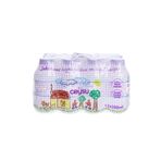 Ceysu Bebek Suyu 12 x 200 ml 2 Adet