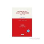 Ceza Hukuku Genel Hükümler TCK m.1-75 Pratik Çalışma Araçları - Hamide Zafer