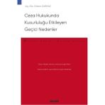 Ceza Hukukunda Kusurluluğu Etkileyen Geçici Nedenler