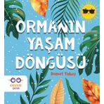 Cezve Çocuk Ormanın Yaşam Döngüsü