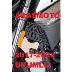 Cf Moto Nk 250 Radyatör Koruma (Lazer Kesim ) 2017-2022 _supermoto