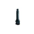 Cf Moto Nk 250 - Sr 250 Bobin