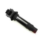 Cf Moto Nk-sr 250 Ateşleme Bobini