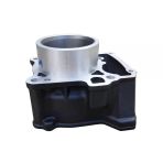 Cf Moto Nk250 Sr250 Silindir Çıplak Orj