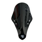 Cf Moto Sr 250 Ön Siperlikcamı Spor Cam