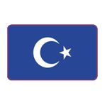 Cg Şeffaf Mavi Bayrak Far Filmi CGFR010