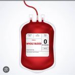 cgp medikal can güven park Flebotomi Kan Alma Torbası 450ML 10 Adet