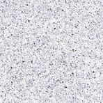 CGT Alkor Aquasense Serisi White Riviera Sand 1 m² 3D Liner Kaplama