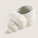 Chakra Vato Dekoratif Kase