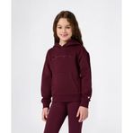 Champion Icons Hooded Sweatshirt 08-12 yaş çocuk kız Bordo Sweatshirt - 405244-RS522