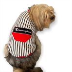 Champion Xl Oval Yaka Tişört Köpek Kıyafeti