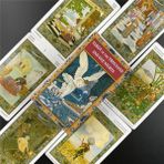 Chaoduo Shop TT141 Stili Binbir Gece Tarot Tarot Kart Oyunu Tarot Güverte Tahta Oyunu Yetişkinler Için Oracle Tarot Acemi Kader Kehanet Için (Yurt Dışından) - Renkli
