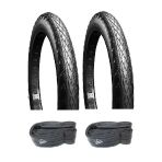 Chaoyang 20 Jant 20X4.0 Fat Bike Dış Lastiği 3Mm Zırhlı H-5193 X 2 Adet + Irc İç Lastik Seti