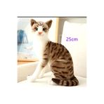 charmerprincesses İTHAL ÜRÜN Tekir kedi oyuncak Gerçek Görünümlü Peluş Kedi Tekir kedi peluş 25 CM YUMUŞAK PELUŞ