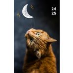 CHAT Agenda scolaire 2024 2025: Journalier, Daté | Une page par Jour pour Noter ses Devoirs | Adorable Chat Tigré Lune Étoiles Animaux Mignon Cute ... | Fille Ado Enfant | Noir Petit format A5