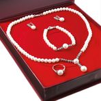 Chavin DS43 İnci Rose Gümüş Set