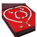Chavin DS45 İnci Rose Gümüş Set