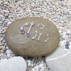 Chavin EN41-6 6'lıŞeffaf Akrilik Kaş Göbek Dil Kulak Piercing