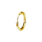 Chavin ET96SR Çelik Gold 10 mm Tekli Küçük Unisex Halka Küpe