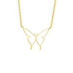 Chavin EU58SR Gold Kelebek Model Çelik Kadın Kolye