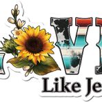 Check6 Love Like Jesus |Harika Hediye Fikri|Harika Hediye Fikri|Çıkartma Çıkartması|2 Paket|5 İnç Çıkartmalar|FBAS11146