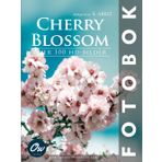 Cherry Blossom: Över 100 HD-bilder