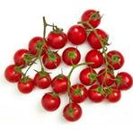 Cherry Domates Tohumu 100+ Tohum N11.7846