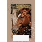 Chestnut horse: Equestrian Notebook