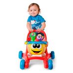 Chicco Mutlu Alışveriş İlk Adımlar Yürüteci