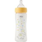 Chicco Perfect Easy Biberon Cam 240 ml Yavaş Akış-Unisex (5 Adet)