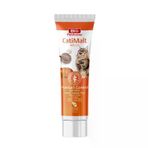 Childandpet Pet Active Cati Malt Paste Pat 25 ml Kedi Tüy Yumağı Önleyici