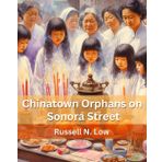 Chinatown Orphans on Sonora Street: An Illustrated Book