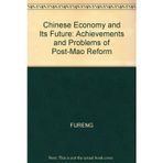 Chinese Economy and Its Future: Achievements and Problems of Post-Mao Reform Nolan, Peter and Tung, Fuâ€“Jeng