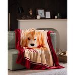Chiot Wellsoft Polar Baskılı Tv Battaniye - Kahverengi - 130 x 170 cm