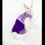 Chique Panda Kedi Tulumu Kedi Kiyafeti Kedi Elbisesi